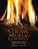 A Fire of Straw In Bureau County: The Forgotten Utopian Dream of Lamoille's Rosemont Domain (eBook, ePUB)