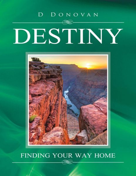 Destiny: Finding Your Way Home (eBook, ePUB) Destiny: Finding Your Way Home (eBook, ePUB)