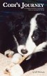 Codi's Journey (eBook, ePUB) - Bild 1