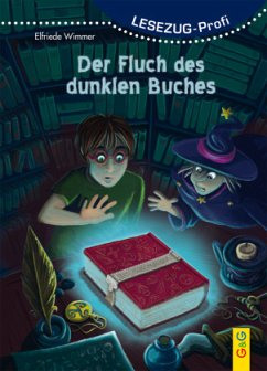 LESEZUG/Profi: Der Fluch des dunklen Buches - Wimmer, Elfriede