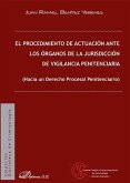 El procedimiento de actuación ante los órganos de la jurisdicción de vigilancia penitenciaria : hacia un derecho procesal penitenciario