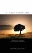 In the Light of a Blessed Tree - Bild 1