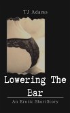 Lowering the Bar (eBook, ePUB)