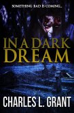 In a Dark Dream (eBook, ePUB)