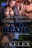 A Panther Comes Between Two Bears (Bear Mountain, #19) (eBook, ePUB)