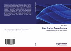 Holothurian Reproduction