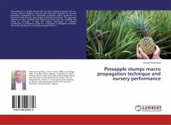 Pineapple stumps macro propagation technique and nursery performance