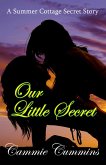 Our Little Secret (Summer Cottage Secret Series, #1) (eBook, ePUB) Our Little Secret (Summer Cottage Secret Series, #1) (eBook, ePUB)