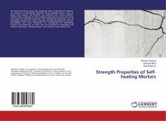 Strength Properties of Self-healing Mortars