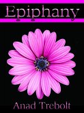 Epiphany (eBook, ePUB)