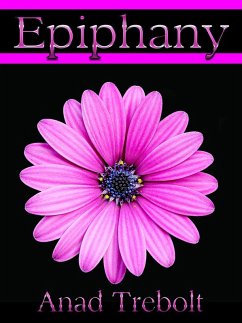 Cover Epiphany (eBook, ePUB)