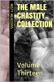 The Male Chastity Collection: Volume Thirteen (eBook, ePUB)