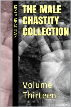 Cover The Male Chastity Collection: Volume Thirteen (eBook, ePUB)