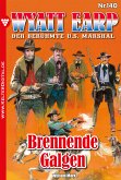 Brennende Galgen (eBook, ePUB)