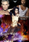 Adding Fuel To The Flames Eternal Flames Maddox 1 (eBook, ePUB)