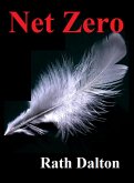 Net Zero (eBook, ePUB)