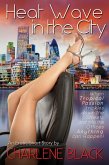 Heat Wave in the City (eBook, ePUB)