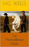 La Merveilleuse Visite (eBook, ePUB)