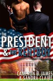 The President And The Rentboy (Forbidden Desires, #3) (eBook, ePUB)