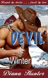 A Devil in Winter (eBook, ePUB) - Bild 1