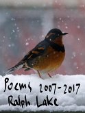 Poems 2007-2017 (eBook, ePUB)