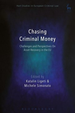 Chasing Criminal Money (eBook, PDF)