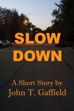 Cover Slow Down (eBook, ePUB)