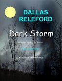 Dark Storm (eBook, ePUB)