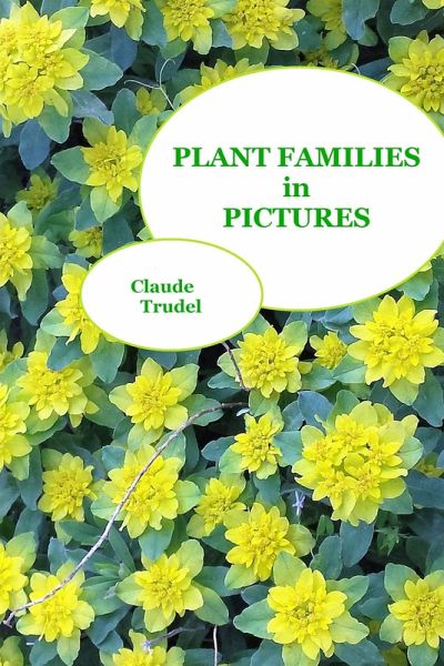 Plant Families in Pictures (eBook, ePUB) Plant Families in Pictures (eBook, ePUB)