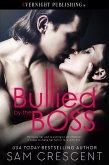Bullied by the Boss (eBook, ePUB)