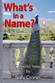 What's in a Name? Volume 1 (eBook, ePUB)