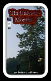 Tin Universe Monthly #10 (eBook, ePUB) Tin Universe Monthly #10 (eBook, ePUB)
