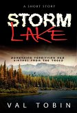 Storm Lake (eBook, ePUB)