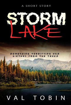 Cover Storm Lake (eBook, ePUB)