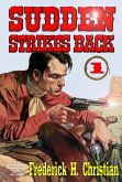Sudden 1: Sudden Strikes Back (Sudden (Western), #1) (eBook, ePUB)