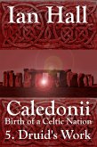 Caledonii: Birth of a Celtic Nation. 5. A Druid's Work (Caledonii: Birth of a Nation, #5) (eBook, ePUB) Caledonii: Birth of a Celtic Nation. 5. A Druid's Work (Caledonii: Birth of a Nation, #5) (eBook, ePUB)