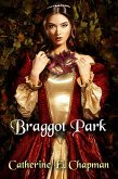 Braggot Park (eBook, ePUB)