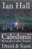 Caledonii: Birth of a Celtic Nation. Druid & Iceni (Caledonii: Birth of a Nation, #6) (eBook, ePUB) Caledonii: Birth of a Celtic Nation. Druid & Iceni (Caledonii: Birth of a Nation, #6) (eBook, ePUB)