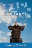 More Devotions from Everyday Things (eBook, ePUB)