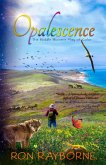 Opalescence: The Middle Miocene Play of Color (eBook, ePUB)