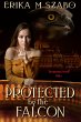Protected By The Falcon: The Ancestors'... - Bild 1