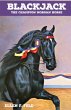 Blackjack: The Champion Morgan Horse... - Bild 1
