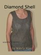 Diamond Shell (eBook, ePUB) - Bild 1