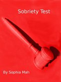 Sobriety Test (eBook, ePUB)