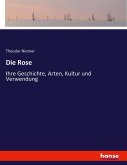 Die Rose