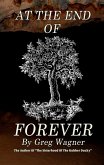 At The End Of Forever (eBook, ePUB)