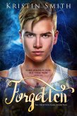 Forgotten (eBook, ePUB) Forgotten (eBook, ePUB)