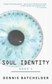 Soul Identity (eBook, ePUB)