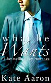 What He Wants (eBook, ePUB)