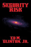 Security Risk (eBook, ePUB)